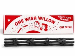 شاخه آرزوی One wish willow (فیلم Obsession) – تصویر 2